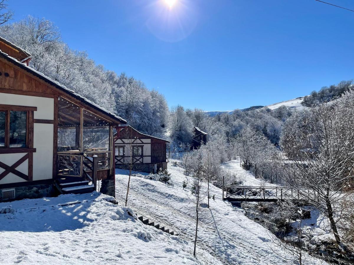 Ecokayan Dilijan Resort Hotel Extérieur photo