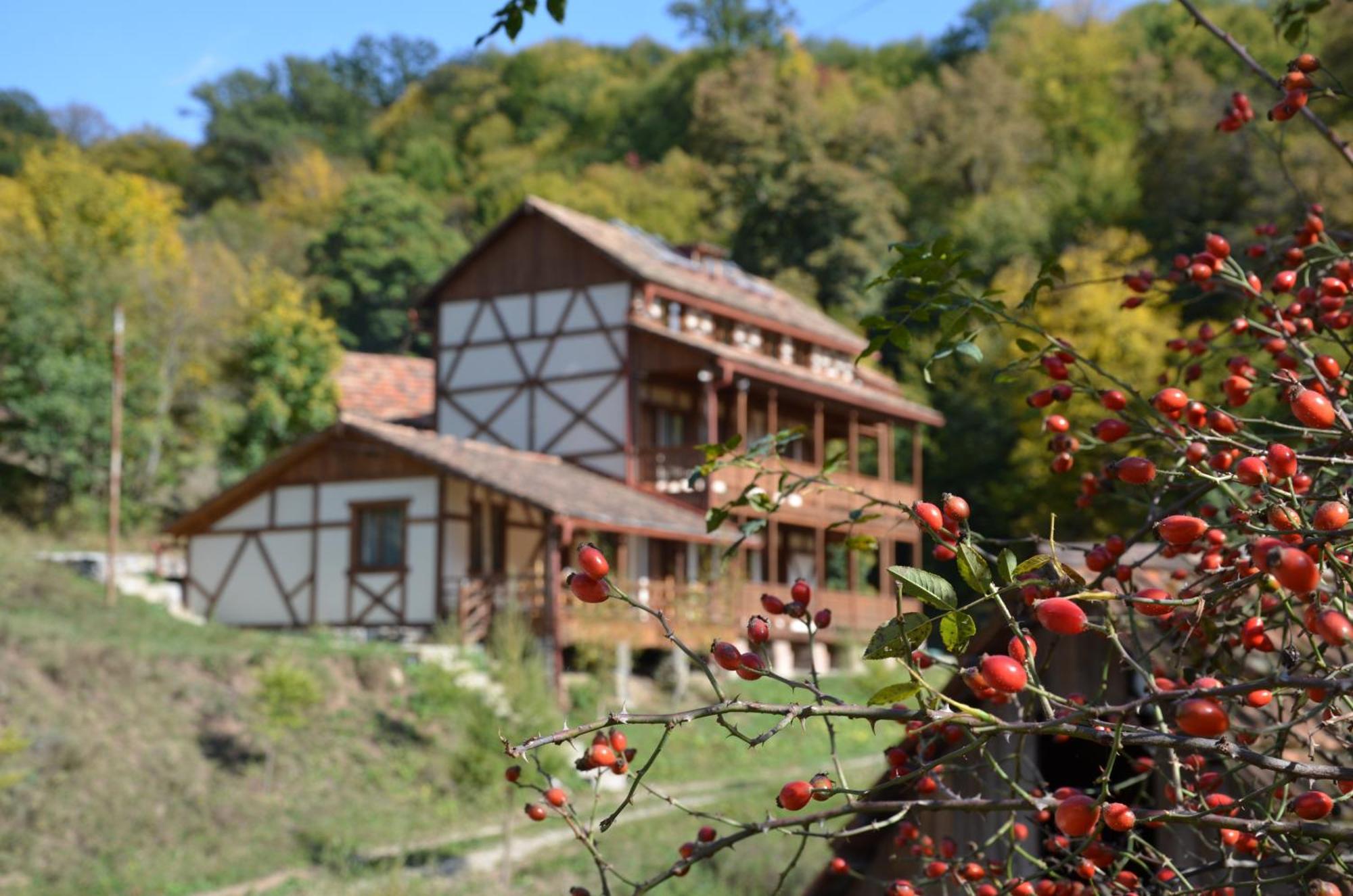 Ecokayan Dilijan Resort Hotel Extérieur photo