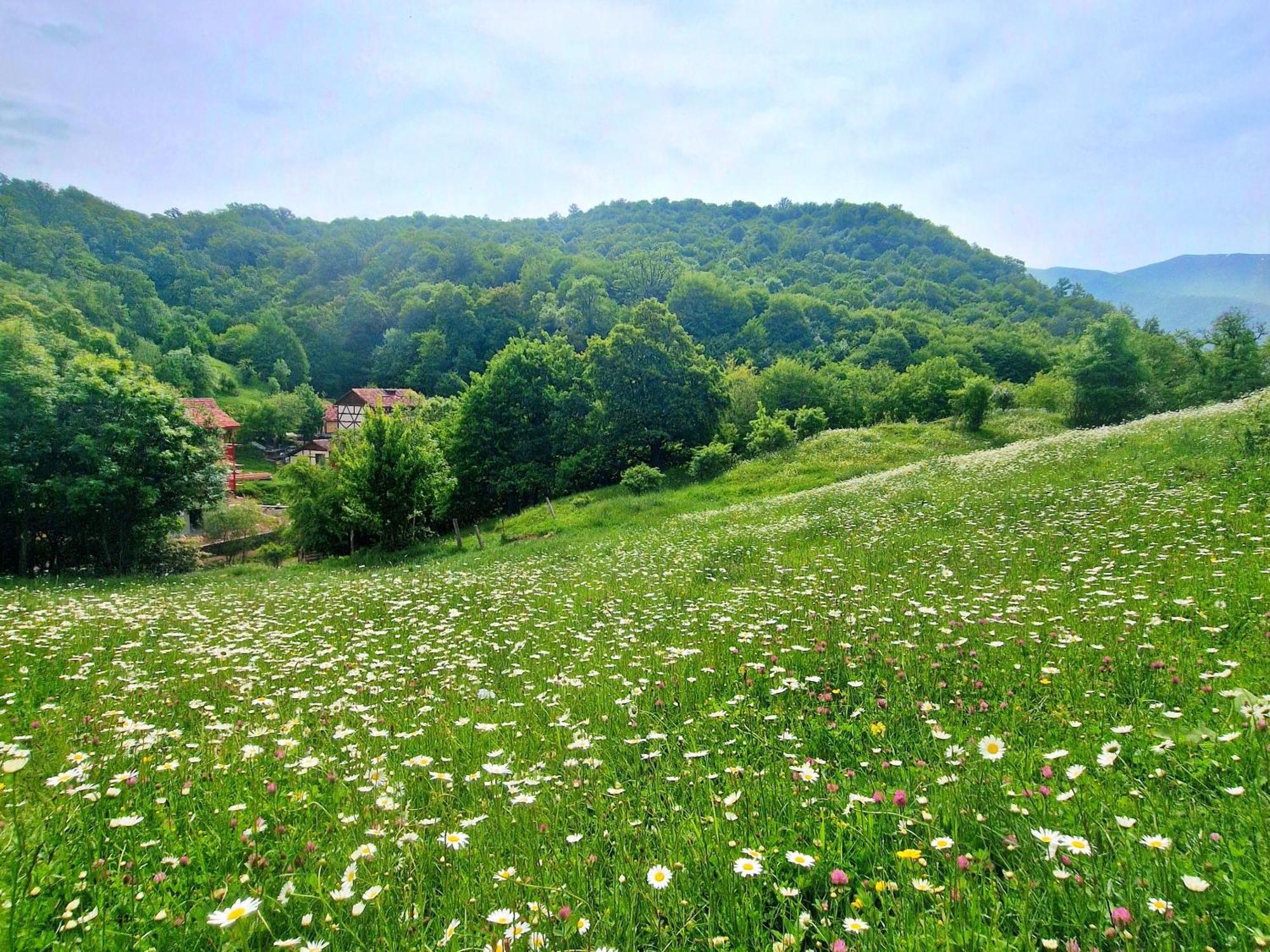 Ecokayan Dilijan Resort Hotel Extérieur photo